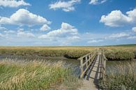 Salzwiesen bei Westerhever von Peter Eckert Miniaturansicht
