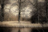 Natuur