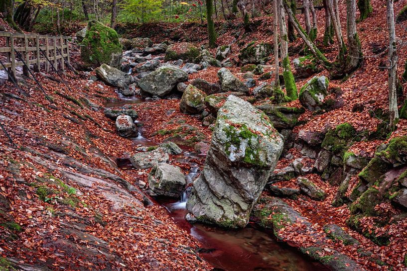 Ninglinspo by Rob Boon