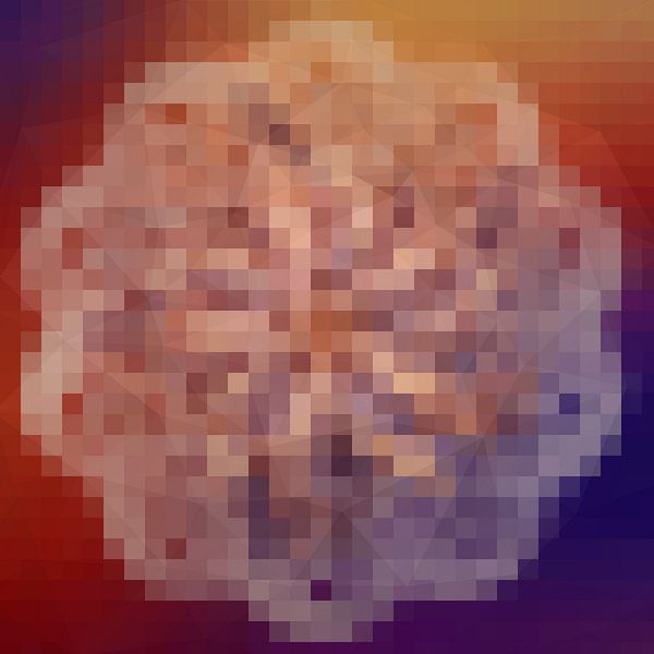 Pixel mandala van Rietje Bulthuis