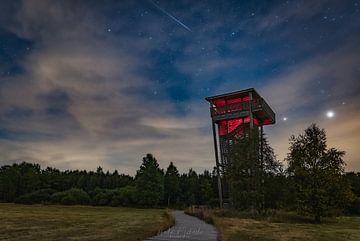 Das Schwarze Moor von Andre Michaelis