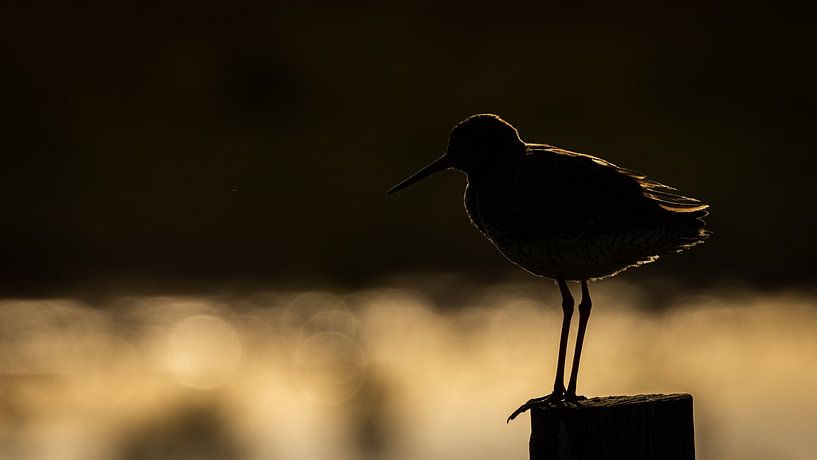 Turmsilhouette von Linda Raaphorst