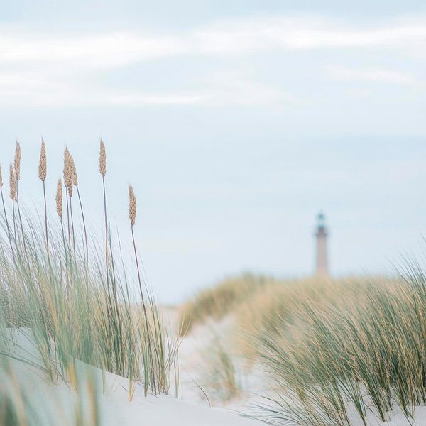 Lighthouse in the grass by Poster Art Shop