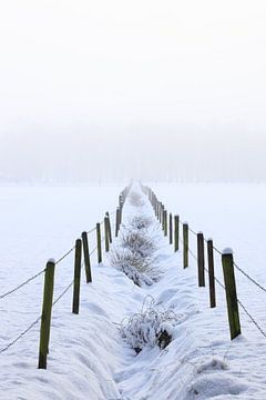 Minimalist snowy landscape - Brabant by Sugar_bee_photography