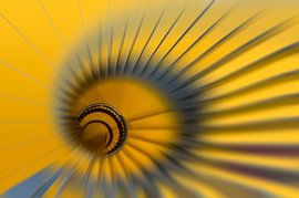 Swirl by Greetje van Son