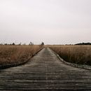 Vlonderpad in veengebied op een bewolkte dag van Peter Bruijn thumbnail