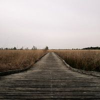 Vlonderpad in veengebied op een bewolkte dag