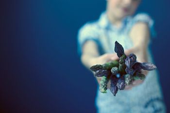 Keine Blumen, sondern Spargel