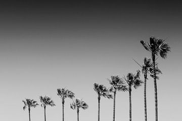 Monochrome California Vibes by Melanie Viola