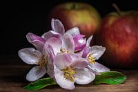 Temps | Fleurs de pommier et pommes