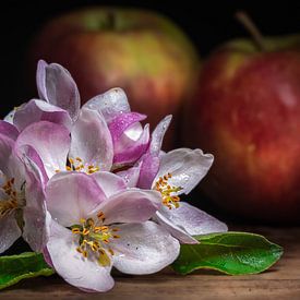 Temps | Fleurs de pommier et pommes sur Thomas Prechtl