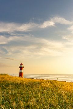 Sunset at the lighthouse of Westkapelle, Zeeland (vertical) by Just Go Global