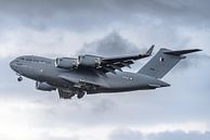 Qatar Emiri Air Force Boeing C-17 Globemaster III. van Jaap van den Berg thumbnail