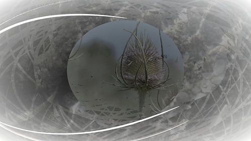 Harbour