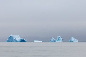 Eisberge in der Diskobucht, Grönland