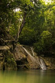 The Emerald Sanctuary by Sebastian Stef