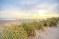 Sonnenaufgang in den Dünen der Insel Texel in der Wattenmeerregion