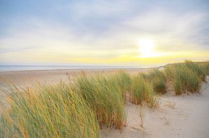 Lever de soleil dans les dunes de l'île de Texel dans la région de la mer des Wadden sur Sjoerd van der Wal Photographie