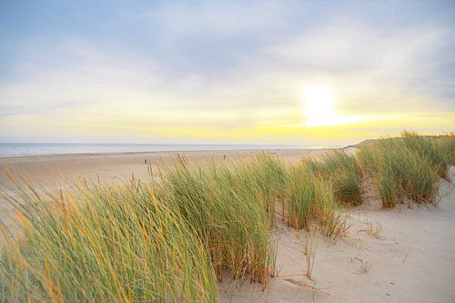 Zonsopgang in de duinen van Texel in de Waddenzee
