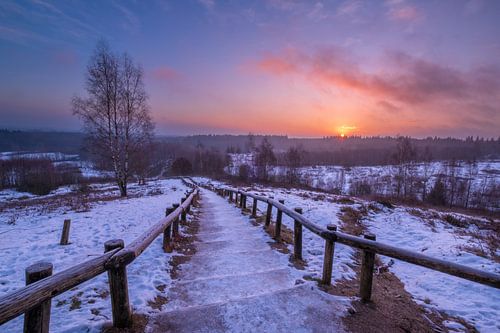 Sonnenaufgang auf der Treppe im Naturschutzgebiet Kwintelooijen von Moetwil en van Dijk - Fotografie
