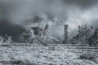 In the morning on the Hornisgrinde by Thomas Heins thumbnail