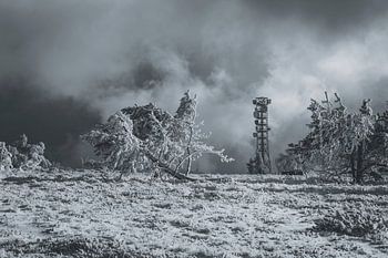 Morgens auf der Hornisgrinde