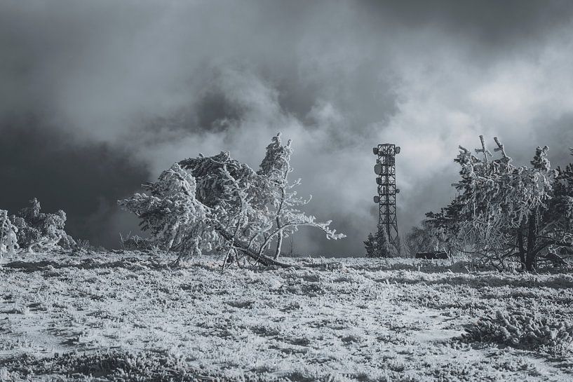 In the morning on the Hornisgrinde by Thomas Heins