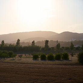 Spanish landscape during sunset by Sjoerd van der Hucht