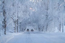 Ein kalter Wintertag in Östersund