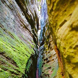 Portrait of a slot canyon in Berdorf Luxembourg (Little Zwitzerland) von Bruno Baudry