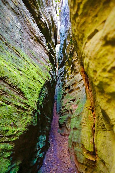 Portrait of a slot canyon in Berdorf Luxembourg (Little Zwitzerland) by Bruno Baudry