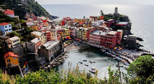 Cinque Terre von Dieren en natuur