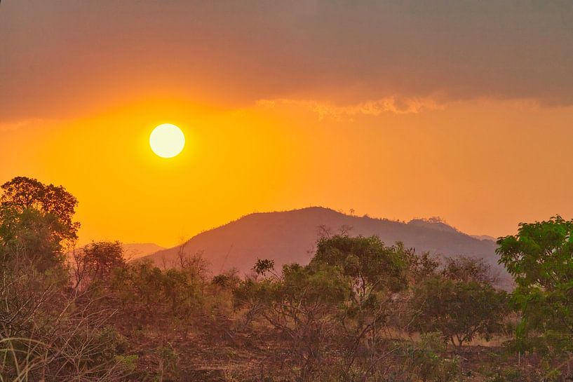 Profiter du Malawi par Natuurpracht   Kees Doornenbal