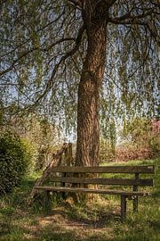 Dabringhausen van Freddy Hoevers