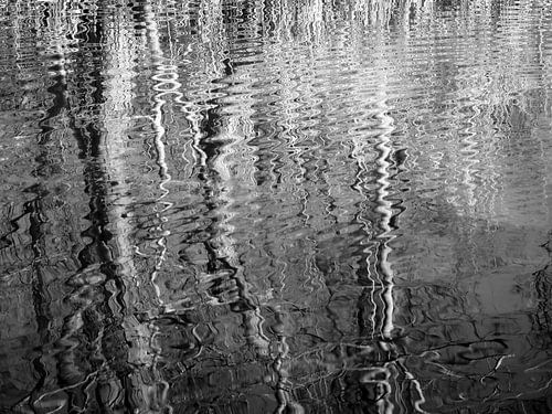 Ripples