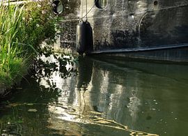 Watersport by Henny van den Berg