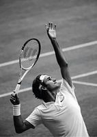 Precision in Motion: Tennis Masterpiece