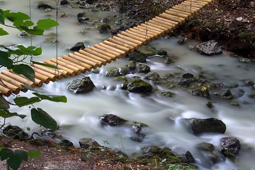 Le pont en bois