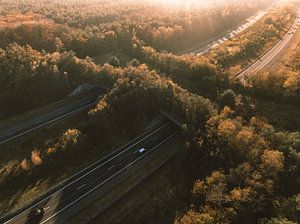 Écoduc au-dessus d'une autoroute sur la Veluwe