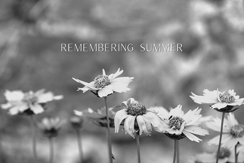 Remembering Summer: Afscheid van de zomer