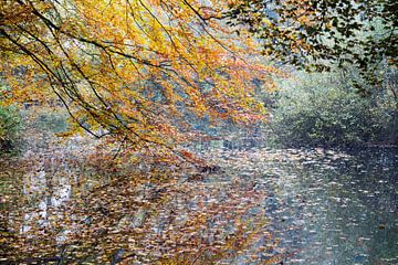 Amsterdamse Bos van Frank Hendriks