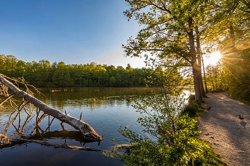 Sonnenuntergang am Pfaffensee in Stuttgart von Werner Dieterich