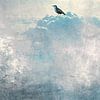 HEAVENLY BIRDS Ia by Pia Schneider