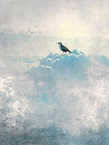 HEAVENLY BIRDS Ia von Pia Schneider