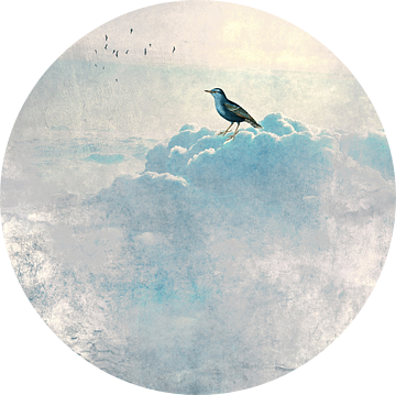 HEAVENLIJKE VOGELS Ia