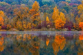 Herbst von Walter G. Allgöwer