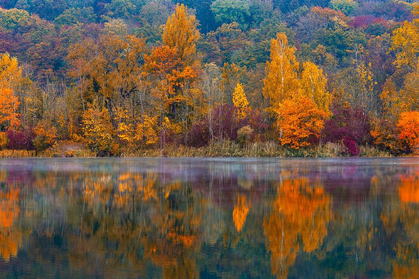 Herbst von Walter G. Allgöwer