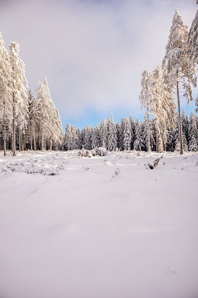 Tour de ski de fond par un temps impérial dans la forêt enneigée de Thuringe près de Floh-Seligenthal - Thuringe - Allemagne par Oliver Hlavaty