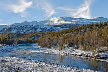 Winter in Norwegen van Michael Schreier