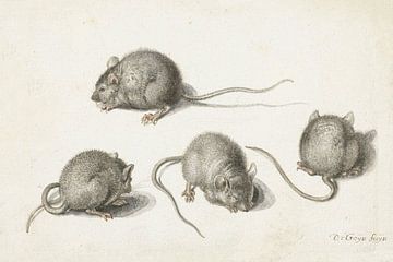 Vier studies van een zieke muis, Jacob de Gheyn (II), 1575 - 1625
